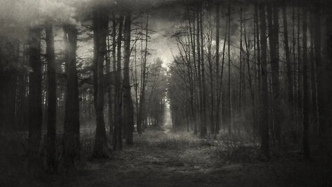 Dark Music – Dystopian Woods