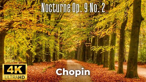 Chopin - Nocturne Op. 9 No. 2 (4K)