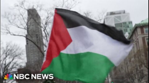 NBC News investigates claims that terror groups fund pro-Palestinian protests in U.S.
