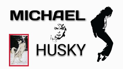 🐶🎤 The Husky Who Can Dance Like Michael Jackson! 🕺🎶🐾 Husky King of Pop