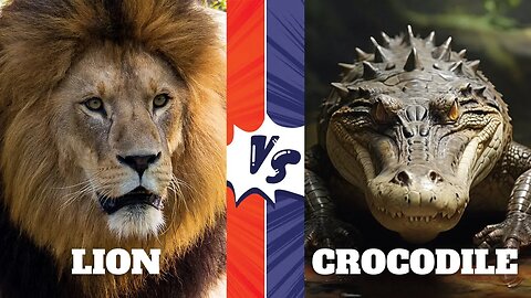 LIONS VS CROCODILES - WHO WILL WIN THE FIGHT?
