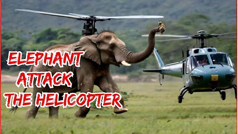 ELEPHANT ATTACK THE HELICOPTER -funny video
