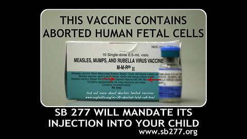 Aborted Fetal Cells were used in Vaccines