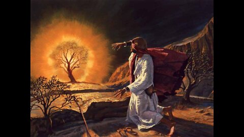 Meet God at the Burning Bush, I Did, Now it is Your Turn