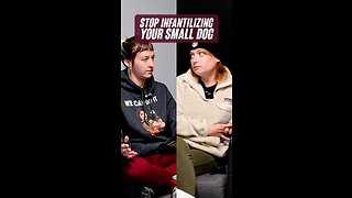 Stop infantilizing your small dog