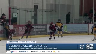 Fouhy's Small Stars: Bobcats vs. Jr. Coyotes