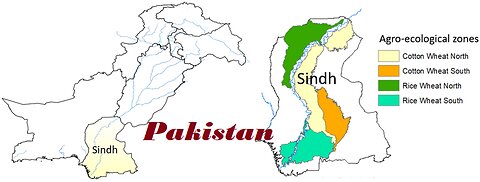 Sindh Pakistan
