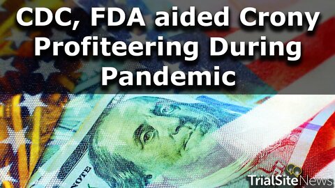 Once Gold Standard Agencies Now Like ‘Horror Movie’ as Crony Capitalism Profiteered during Pandemic