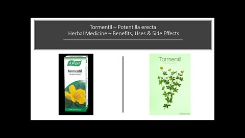 Tormentil Herbal Medicine Benefits, Uses & Side Effects