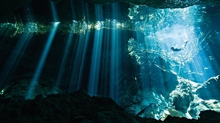 Adventurous Divers Explore the Stunning Cenote Dos Ojos