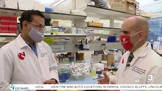 UNMC researchers see path to eliminate HIV; genetic therapy shows promise in lab setting