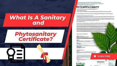 What Is The Role Of A Sanitary And Phytosanitary Certificate In Customs Clearance?