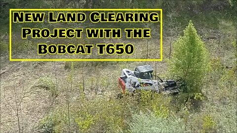 A new land clearing project DAY 1. Illinois land management Bobcat T650 CTL clearing land!
