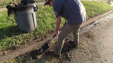 I couldn't BELIEVE how OVERGROWN these curbs and sidewalks were