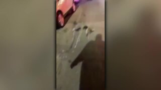 Cars damaged in Baltimore