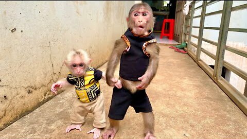 Cute, Monkey BiTa holds Ema's hand to lead Ema to the garden to play