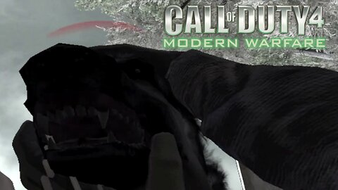 Oh Dog | Call of Duty 4: Modern Warfare - Story Mode #6