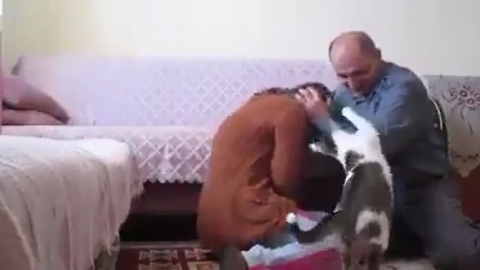 Brave Cat Stops Man From ‘Attacking’ His Wife