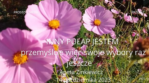 INNY PUŁAP JESTEM przemyslcie więc swoje wybory raz jeszcze