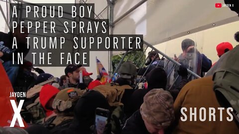 A Proud Boy Named Robert Geswine Uses Pepper Spray On A U.S. Capitol Police Officer | January 6th