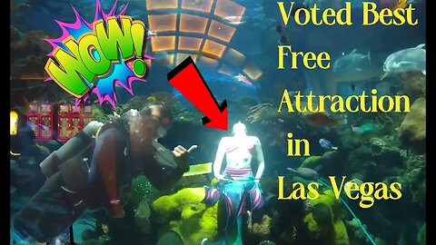 Las Vegas Best Free Attraction for Families