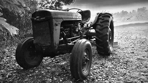 I know this isn't my channel niche, I had share this antique Massey Ferguson tractor #shorts