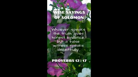 Proverbs 12:17 | Wise Sayings of Solomon