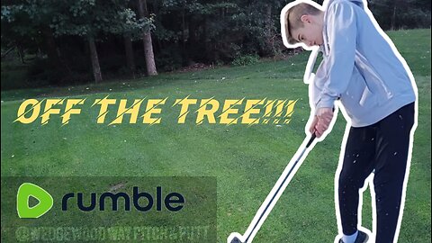 Perfect Trick Shot Off the Tree!