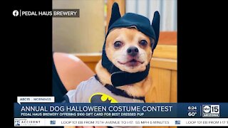 BULLetin Board: Halloween dog costume contest