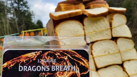 Making TOAST with Dragon's Breath 🐲 🔥🔥🔥