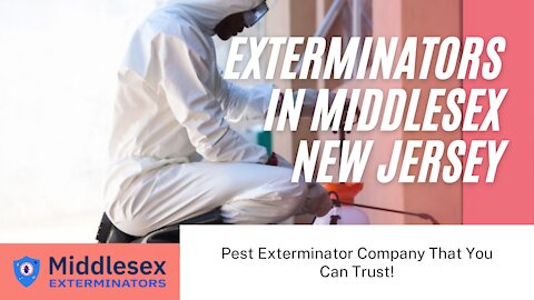Exterminators in Middlesex New Jersey
