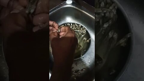 Cleaning Netholi Fish