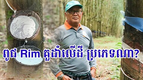 ពូជRim គួដាំលើដីក្រហមអត់