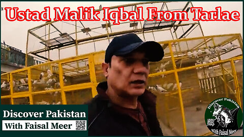 Ustad Malik Muhammad Iqbal From Tarlae Watch In HD Urdu/hindi #pigeon #pakistanpigeonassociation