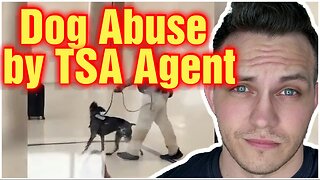 Dog Abused By TSA Agent?