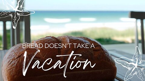 How to Travel with REAL bread | Eat Healthy on Vacation | Food Travel Tips