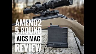 Amend2 AICS Mag Review