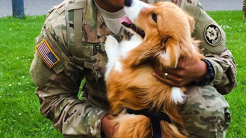 Corgi welcomes soldier home from deployment