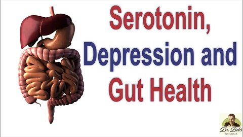 The Serotonin Theory of Depression