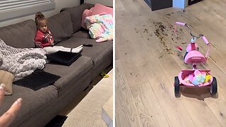 Robot vacuum cleaner spreads dog poop all over house