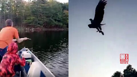 WOW! Eagle Snatches A Fish Out Of Midair From A Fisherman & His Son