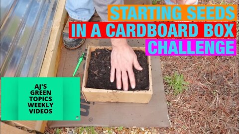 Starting seeds in a cardboard box challenge @AJ's Green Topics #cardboardbefore