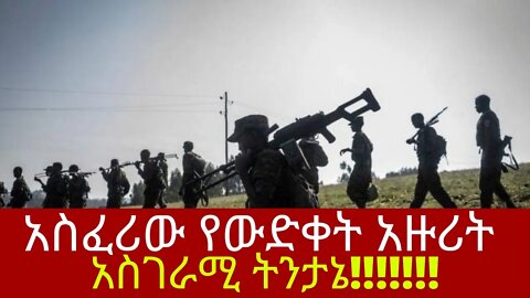 Ethiopia: ሰበር| አስፈሪው የውድቀት አዙሪት| አስገራሚ ትንታኔ!!!!!!! | Zehabesha | top mereja