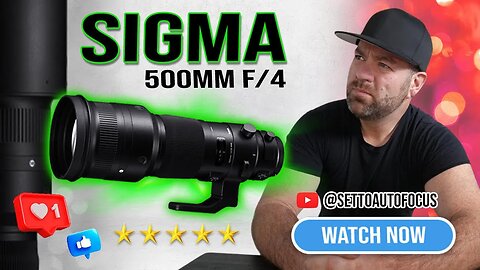 My 5-Minute Review after 1 Year of Owning the Sigma 500mm F4: Final Thoughts