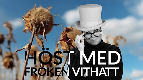 Live- Höst med fröken vithatt 8 okt