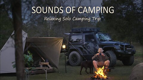 Solo Camping In The Australian Bush With My Dog [ Steak On Campfire, Car: Jeep Wrangler ]