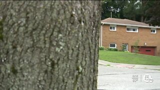 Akron woman carjacked after pulling into her own garage, police say