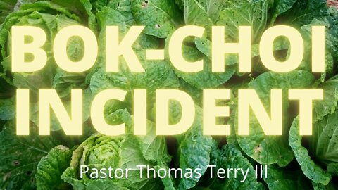 The Bok Choi Incident #shorts