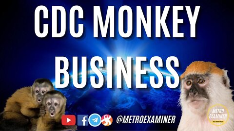 We are watching a movie script! CDC MONKEY BUSINESS...