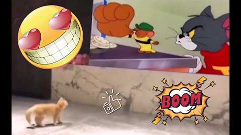 Funny cat into Tom & Jerry